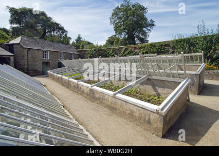 Gewächshäuser verlor er Gärten von Heligan, Pentewan, Cornwall. Von Hand gepflegten der Vergangenheit zu bewahren und die Zukunft zu schützen Stockfoto