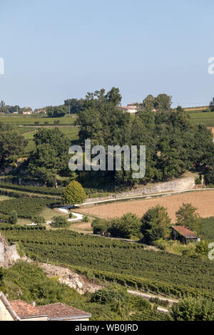 Berühmten französischen Weinberge bei Saint Emilion Stadt in der Nähe von Bordeaux, Frankreich. St Emilion ist einer der wichtigsten Bereiche der Rotwein Bordeaux und sehr beliebt Stockfoto