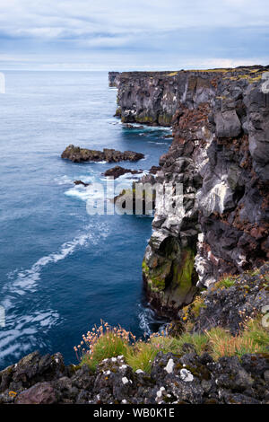 Dramatischen Blick auf steile, felsige Küste bluff auf Snaefellsnes mit Gras und Blumen im Vordergrund; Island Stockfoto