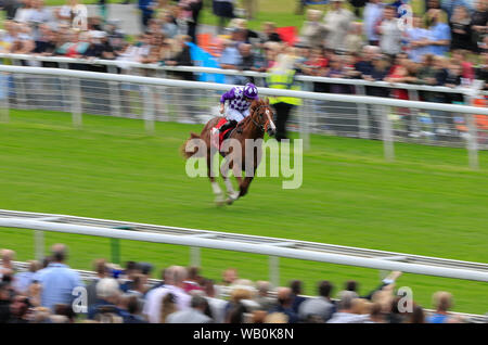 22. August 2019, York, York, Großbritannien; 2019 Darley Yorkshire Oaks/Ladies Day; Mamas Tipple geritten von Ryan Moore läuft klar die Goffs britische Premier Jährling Stakes Credit Conor Molloy/News Bilder zu gewinnen. Stockfoto