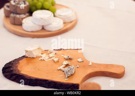 Verschiedene Arten von Käse ist Käse Festival. Organische und Farm food Konzept Stockfoto