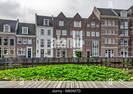 Helmond, Niederlande, 16. August 2019: Blick von einer hölzernen Plattform, die über ein großes Cluster von Seerosen zu postmodernen Kai Häuser in Brande Stockfoto