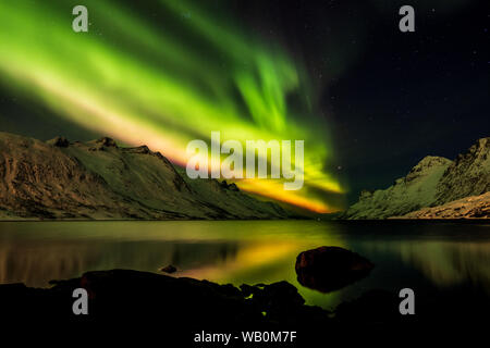 Intensiv grüne Nordlichter Aurora Borealis mit schönen Reflexionen über Ersfjord, Tromsö, Norwegen Stockfoto