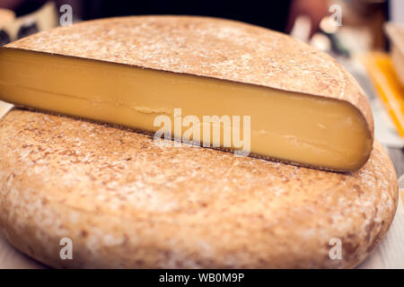 Verschiedene Arten von Käse ist Käse Festival. Organische und Farm food Konzept Stockfoto