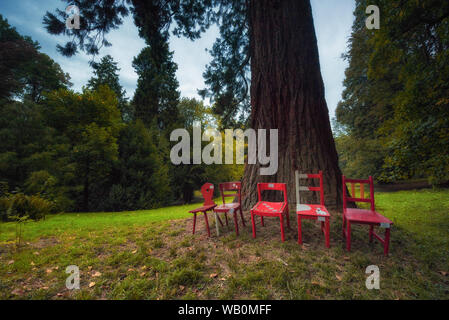 Fife verschiedenen roten Stühle aufgereiht vor einem großen Baum in einem Park Stockfoto