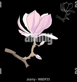 Magnolia - Baum Blume auf schwarzem Hintergrund isoliert. Contour Silhouette einer blühenden Zweig. Vector Illustration Stock Vektor