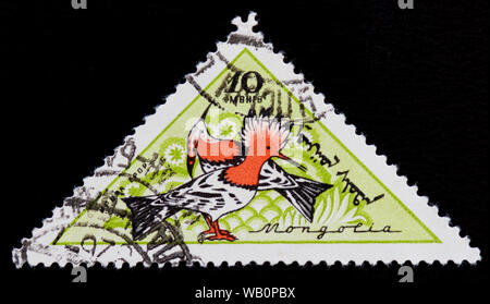 Mongolei Briefmarken eurasischen Wiedehopf (Upupa epops) Stockfoto