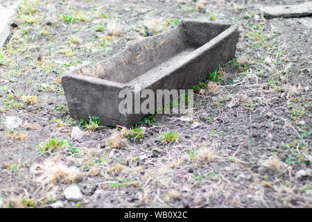 Holz- Trog zur Fütterung von Schweinen auf einem Bauernhof. Stockfoto