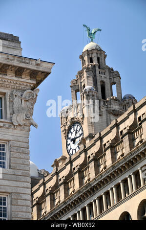 Royal Liver Building, The Strand, Liverpool Stockfoto