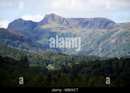 Auf der Suche nach langdale Valley nach Langdale Pikes aus skelwith gesehen Falten Lake District National Park, England, Großbritannien Stockfoto