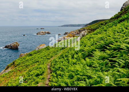 Ein costal path mit üppigen grünen an der Atlantikküste der Bretagne Pointe du Raz genannt Stockfoto