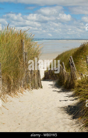 Ein sandiger Pfad führt durch dune Grass zu einer Sanddüne Strand Stockfoto