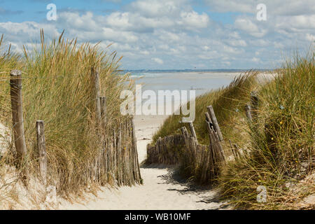 Ein sandiger Pfad führt durch dune Grass zu einer Sanddüne Strand Stockfoto