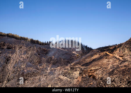 Gran Canaria nach Wild Fire von August 2019, Wandern route La Cruz De Tejeda und Artenara Stockfoto