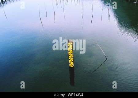 Wasserstand Manometer oder Personal Messgerät im Feuchtgebiet Stockfoto