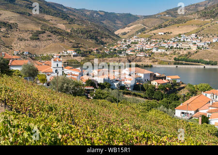 Weinbergen oberhalb des Dorfes Folgosa an den Hängen des Flusses Douro mit Covelinhas über den Fluss. In der Weinregion Alto Douro, Nördliche Portu Stockfoto