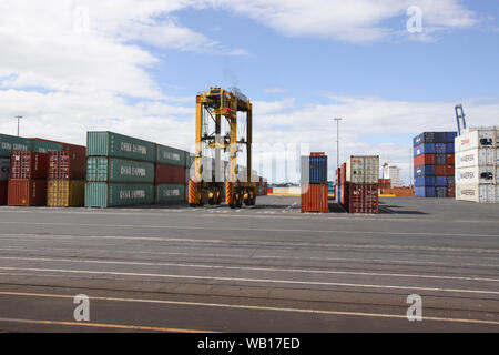 Straddle Carrier (Van Carrier) ohne Container im Hafen von Auckland, Neuseeland Stockfoto