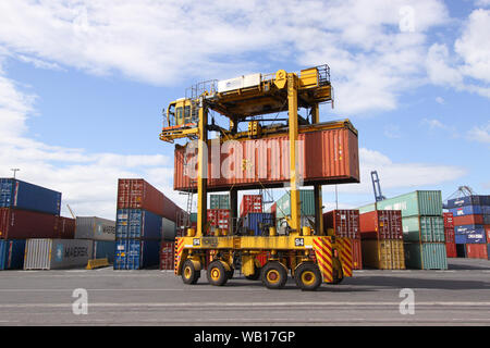 Fahren Straddle Carrier (Van Carrier) mit einem Container im Hafen von Auckland, Neuseeland Stockfoto