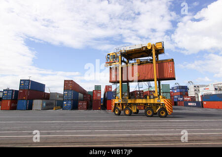 Fahren Straddle Carrier (Van Carrier) mit einem Container im Hafen von Auckland, Neuseeland Stockfoto