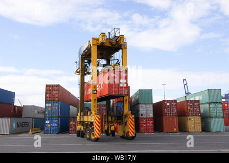 Fahren Straddle Carrier (Van Carrier) mit einem Container im Hafen von Auckland, Neuseeland Stockfoto