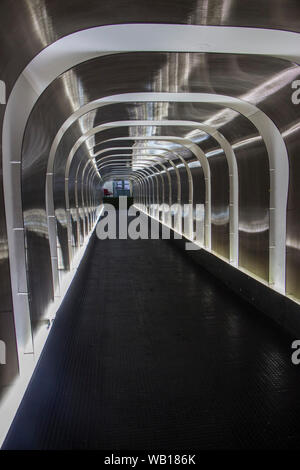 Tunnel zum Rasen, das Stadion Morumbi, São Paulo, Brasilien Stockfoto