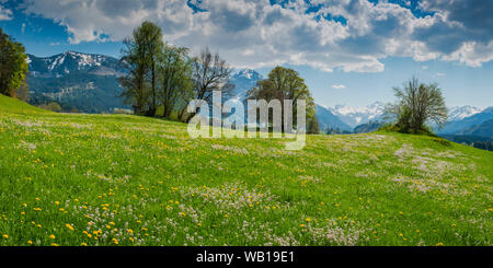 Deutschland, Bayern, Allgaeu, Oberallgaeu, Allgaeuer Alpen, Illertal, Panoramablick vom Malerwinkel Stockfoto