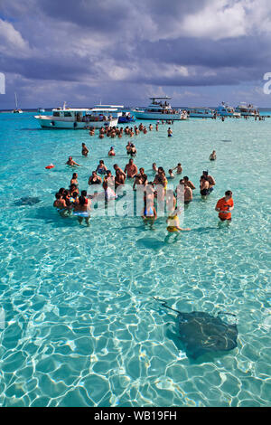 Touristen genießen Sie einen Tag mit dem stachelrochen in Stingray City auf den Cayman Islands Stockfoto