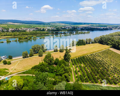 Deutschland, Rheinland-Pfalz, Luftaufnahme von Heidesheim am Rhein, Rhein und Eltville Stockfoto