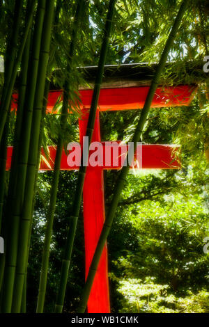 Rote Torii und Bambus Wald, La Bambouseraie - Bambus Park, Prafrance, Anduze, Gard, Frankreich Stockfoto