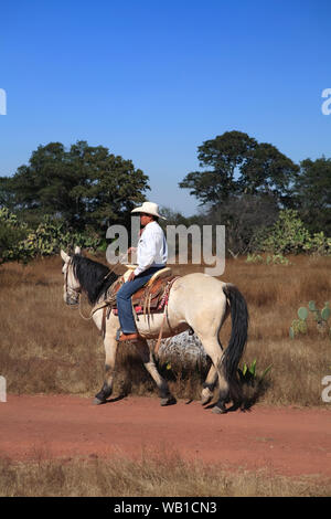 Wranglers in einem Mexikanischen Ranch Stockfoto