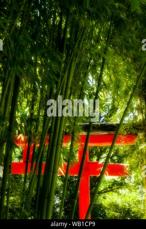 Rote Torii und Bambus Wald, La Bambouseraie - Bambus Park, Prafrance, Anduze, Gard, Frankreich Stockfoto