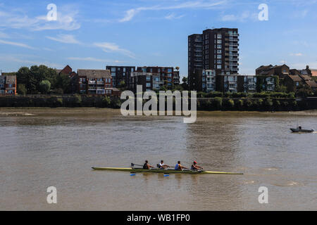 In Putney, London, UK. 23. August 2019. Die Ruderer in der Sonne auf der Themse bei Ebbe als heiße Temperaturen für die Bank Holiday Wochenende Kredit Prognose sind: Amer ghazzal/Alamy leben Nachrichten Stockfoto