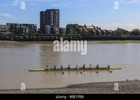 In Putney, London, UK. 23. August 2019. Die Ruderer in der Sonne auf der Themse bei Ebbe als heiße Temperaturen für die Bank Holiday Wochenende Kredit Prognose sind: Amer ghazzal/Alamy leben Nachrichten Stockfoto
