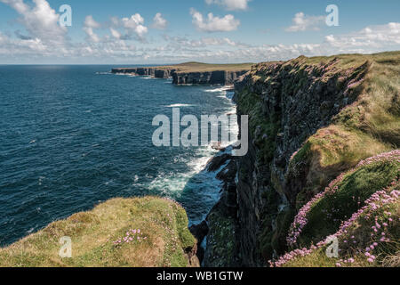 Steile Klippen an der nördlichen Küste von Loop Head in der Nähe von Kilbaha im County Clare in Irland Stockfoto