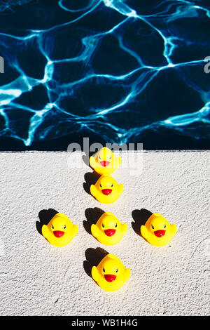 Eine Reihe von Gummi Kunststoff Enten in Bildung sowie ein Swimmingpool zur Verfügung. Stockfoto