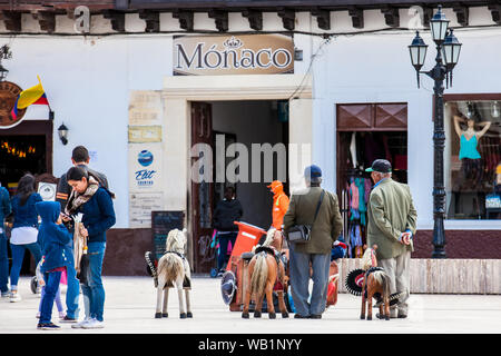 TUNJA, KOLUMBIEN - AUGUST, 2019: Ältere männliche traditionelle Fotograf bei Bolivar Square in Tunja Downtown Stockfoto