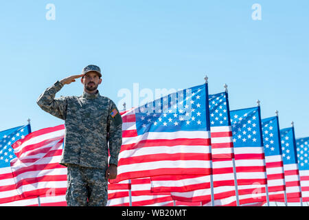 Mann in Uniform, Salute in der Nähe von American Flags mit Sternen und Streifen Stockfoto