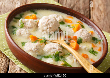 Hausgemachte bulgarische Suppe mit Frikadellen und Gemüse close-up in einer Schüssel auf dem Tisch. Horizontale Stockfoto