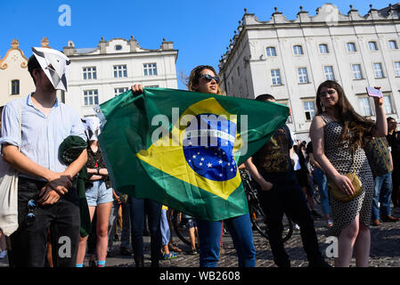 Ein brasilianischer Staatsbürger hält eine brasilianische Flagge während eines Protestes anspruchsvolle Aktion die verheerenden Waldbrände im brasilianischen Amazonasgebiet Wald am Hauptplatz zu kämpfen. das Nationale Institut für Weltraumforschung (Inpe) sagte, dass seine Satelliten Daten zeigten eine 84% Zunahme der Waldbrände im Vergleich zum gleichen Zeitraum im Jahr 2018. Der größte Regenwald der Welt ist ein wichtiger Kohlenstoffspeicher verlangsamt das Tempo der globalen Erwärmung. Der französische Präsident Emmanuel Längestrich durch die deutsche Bundeskanzlerin Angela Merkel die Brände im Amazonas auf der Tagesordnung des anstehenden G7-Gipfels zu setzen. Stockfoto