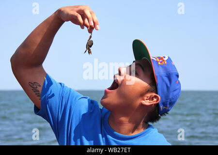 Madison, CT USA. Aug 2010. Junger Mann am Strand, der vortäuscht, eine gemeinsame Asian Shore Crab zu essen. Stockfoto