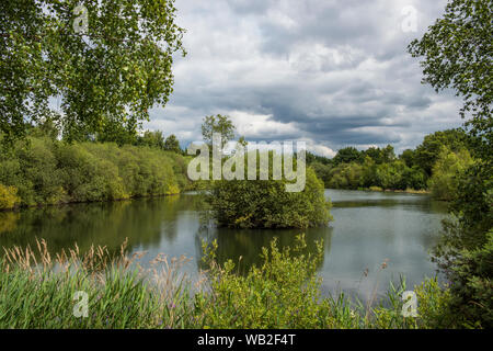 Whisby Natur Park, (von der Lincolnshire Wildlife Trust Betrieben) in der Nähe der Stadt Lincoln, Lincolnshire. Bild am 11. Juli 2019 getroffen Stockfoto