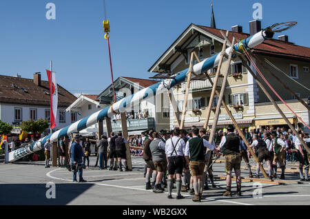 Eine der ältesten Traditionen noch in Oberbayern gepflegt ist die Einrichtung des traditionellen Maibaum zusammen mit Musik und Bier trinkt. Stockfoto