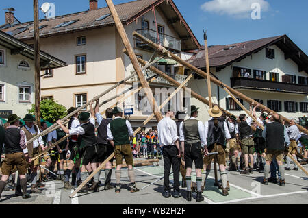 Eine der ältesten Traditionen noch in Oberbayern gepflegt ist die Einrichtung des traditionellen Maibaum zusammen mit Musik und Bier trinkt. Stockfoto