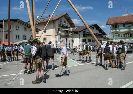 Eine der ältesten Traditionen noch in Oberbayern gepflegt ist die Einrichtung des traditionellen Maibaum zusammen mit Musik und Bier trinkt. Stockfoto