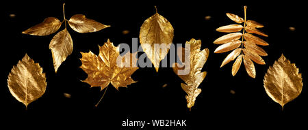 Herbst Zusammensetzung der verschiedenen goldenen Blätter und Buchstaben auf schwarzem Hintergrund Stockfoto