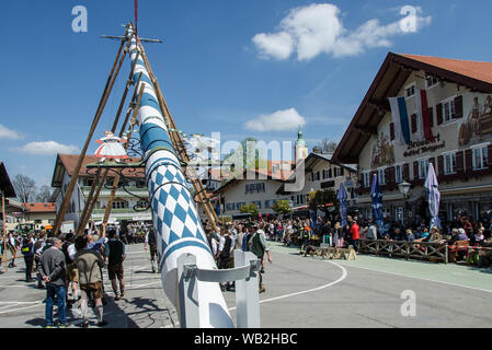 Eine der ältesten Traditionen noch in Oberbayern gepflegt ist die Einrichtung des traditionellen Maibaum zusammen mit Musik und Bier trinkt. Stockfoto