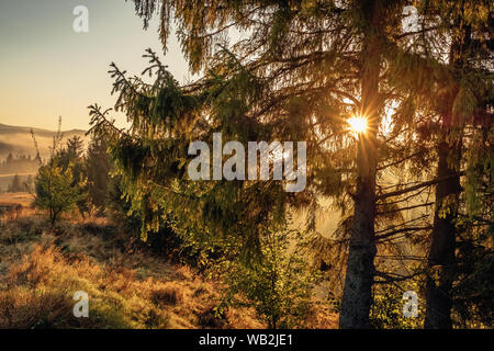 Schönen Sonnenaufgang Landschaft im Wald in den Karpaten. Stockfoto