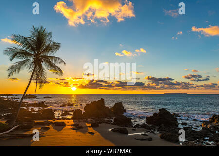 Sonnenuntergang an der Pazifik Küste von Costa Rica mit der Silhouette einer Palme im Corcovado Nationalpark, Halbinsel Osa, Mittelamerika. Stockfoto