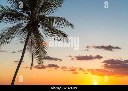 Silhouette der Palmen entlang des Pazifischen Ozeans in Costa Rica, Mittelamerika. Stockfoto