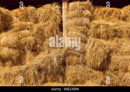 Trockene ballen Heuballen stack, ländliche Landschaft Stroh Hintergrund. Heu Ballen Stroh Lagerung voller Ballen Heu auf landwirtschaftlichen Schuppen. Land Kuhstall Stockfoto